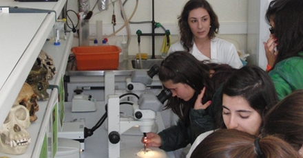 Vários jovens fazem experiências num laboratório